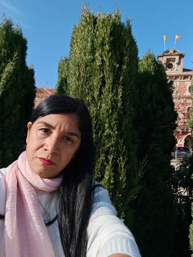 Iris Graciela Briceño Laborí